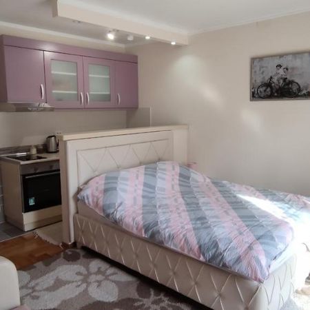 Alex 2 Apartman Vrnjačka Banja Exteriör bild