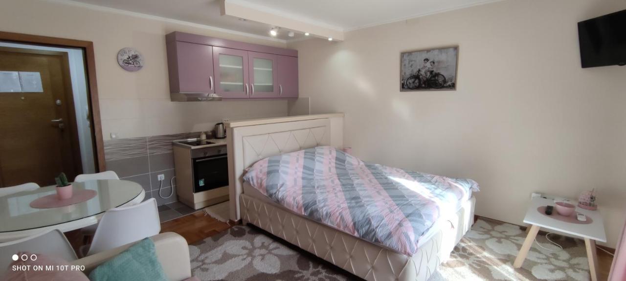 Alex 2 Apartman Vrnjačka Banja Exteriör bild