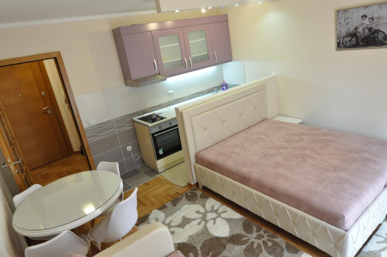 Alex 2 Apartman Vrnjačka Banja Rum bild