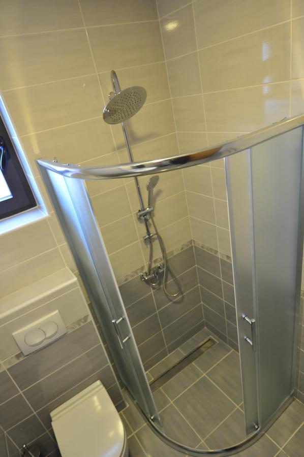 Alex 2 Apartman Vrnjačka Banja Rum bild