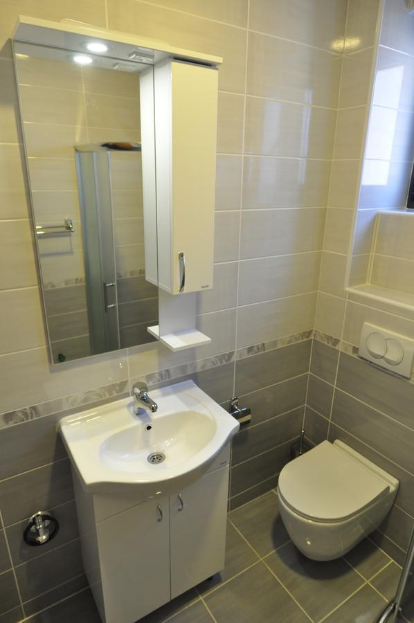 Alex 2 Apartman Vrnjačka Banja Rum bild