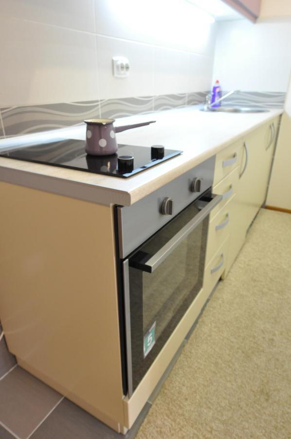 Alex 2 Apartman Vrnjačka Banja Rum bild