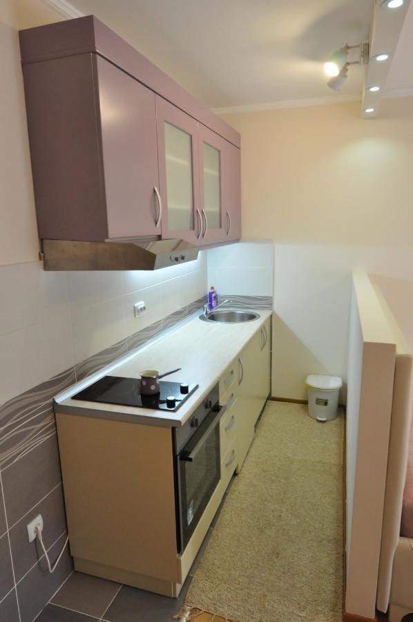 Alex 2 Apartman Vrnjačka Banja Rum bild